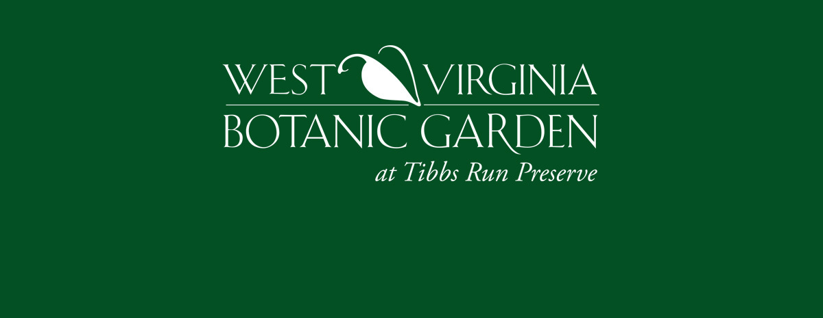 Seed Starting Workshop  —  March 8